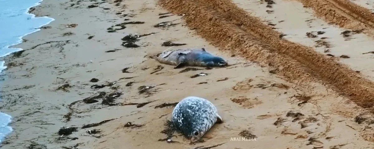  ������ ����� ��������� ���� ������� �������� ������ ������� 