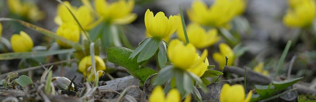 ����: inaktau.kz