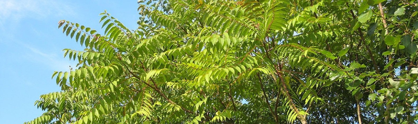  �������� ������� 500 �������� ���������� ������ 