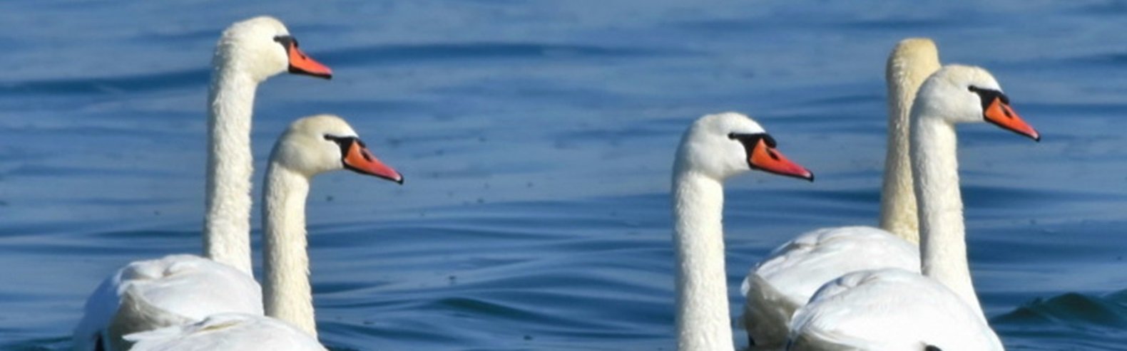 ����: inaktau.kz