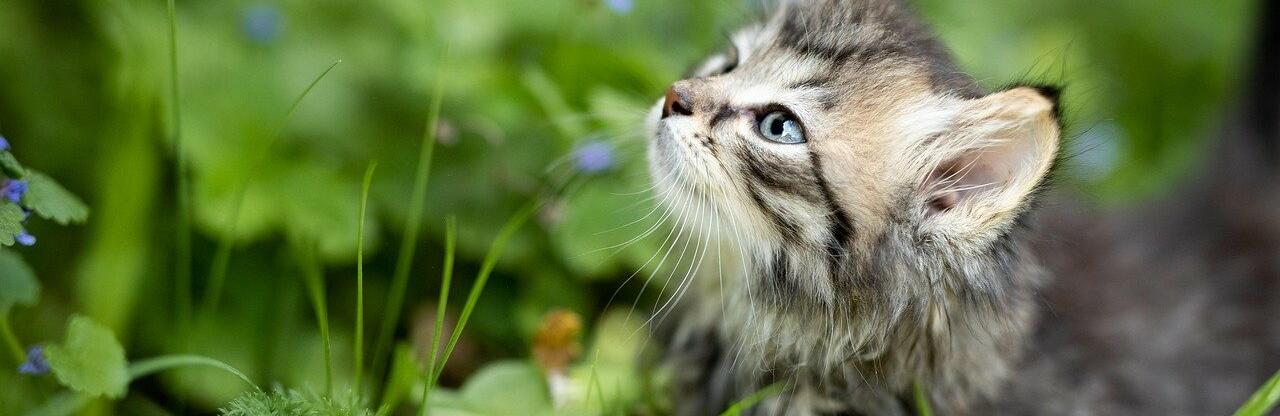 ����: inaktau.kz