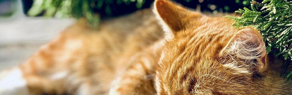 ����: inaktau.kz