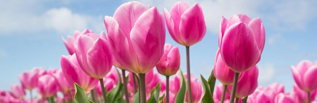 ����: inaktau.kz