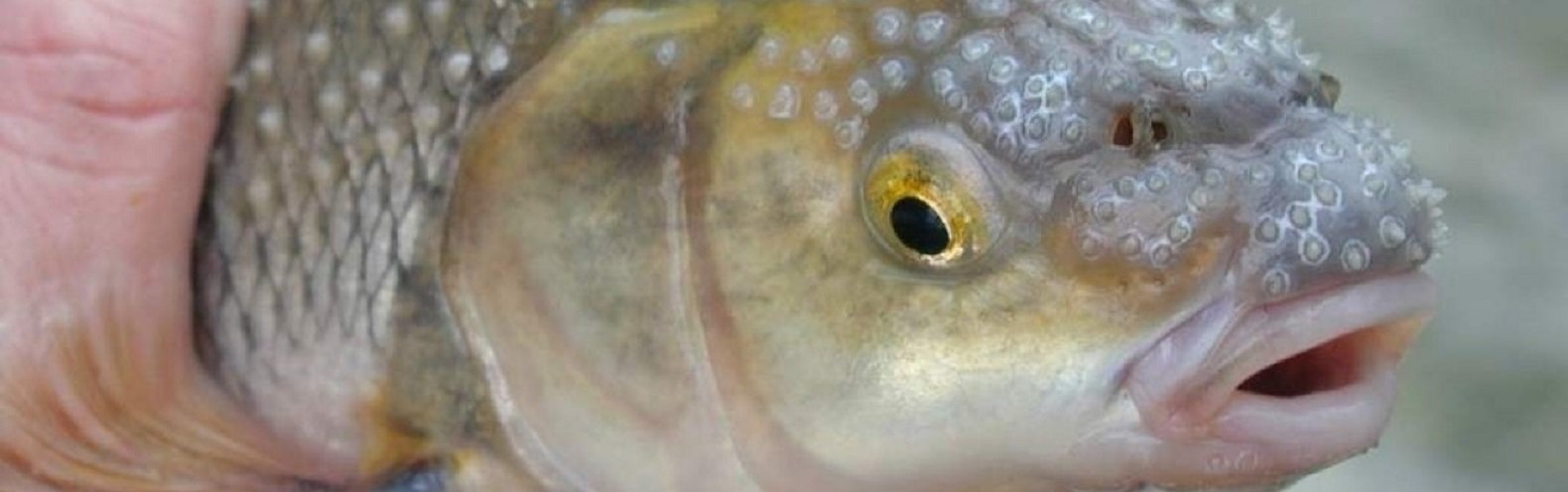  ��������� ������ ���� ����� ����� ��������� ������� ����� 