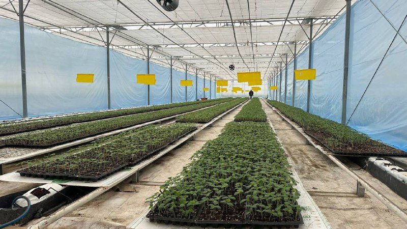  ��������� ������� ��������� ����������� �������� ��������� ��������� 