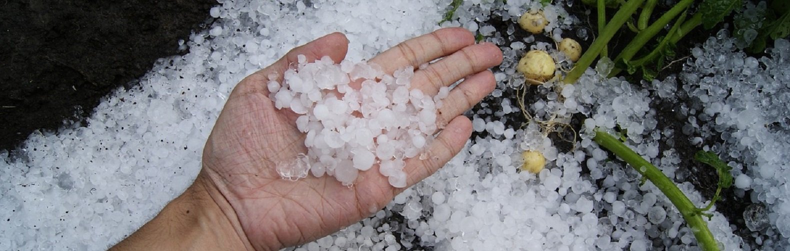 ����: inaktau.kz