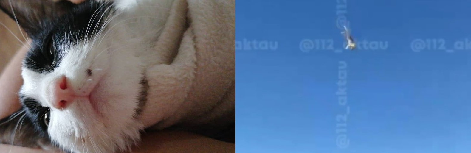  ������������� ��������� ������������ ����� �������� ������ ������ ����� 