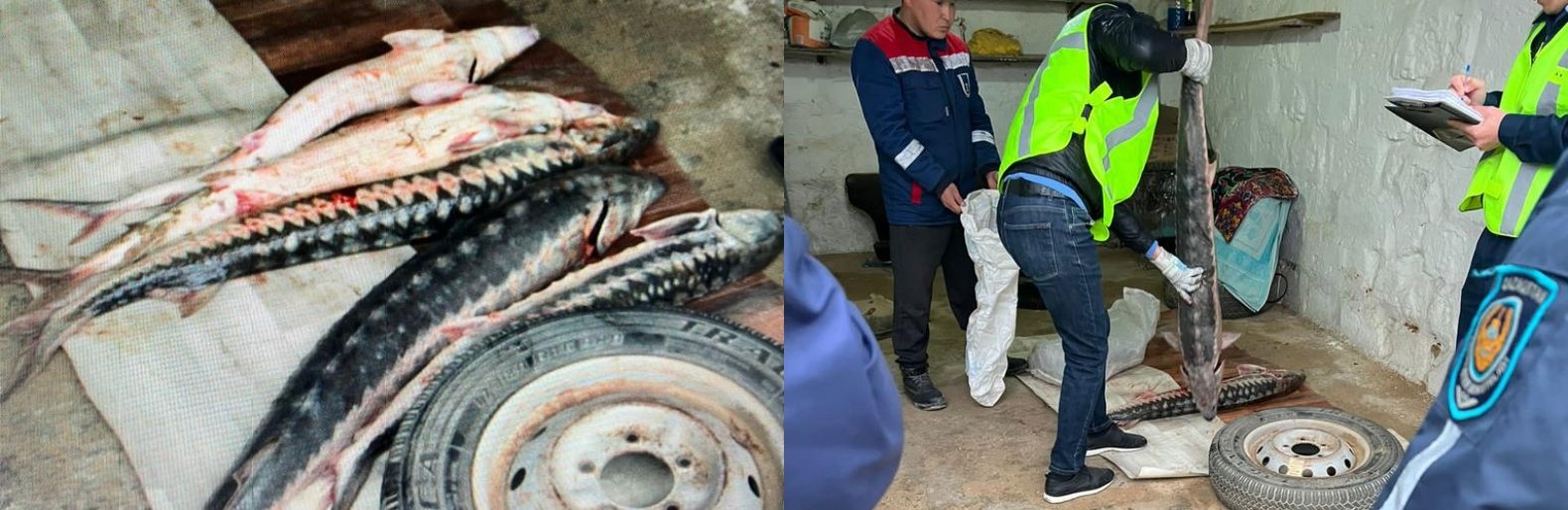 ����: inaktau.kz