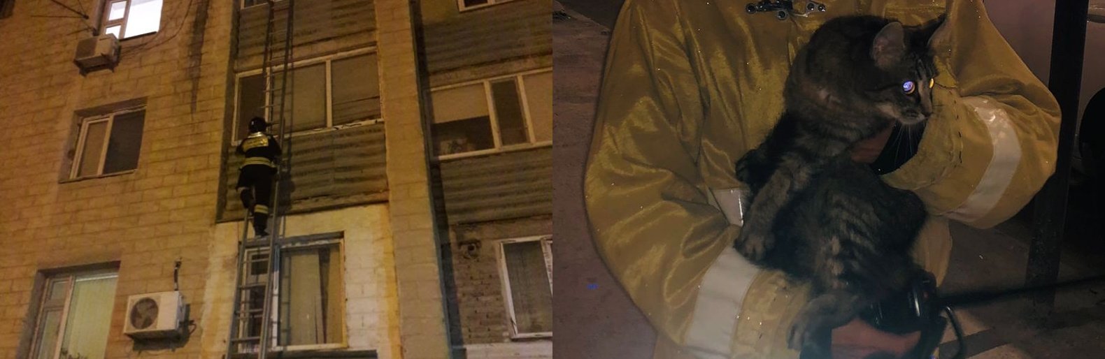 ����: inaktau.kz