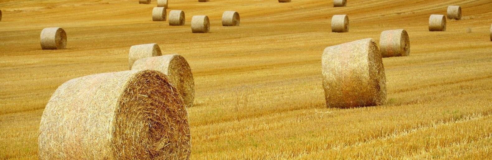 ����: inaktau.kz