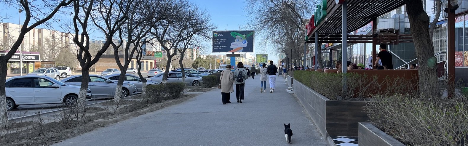  ���� �������� ����� ������� ������ ������ ��������� ������� 