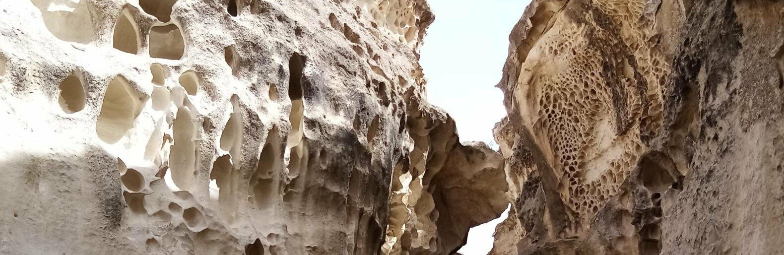 ����: inaktau.kz