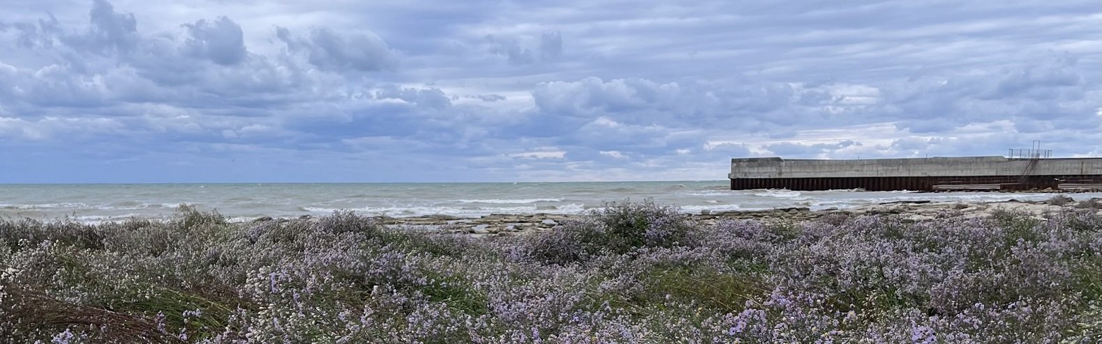 ����: inaktau.kz