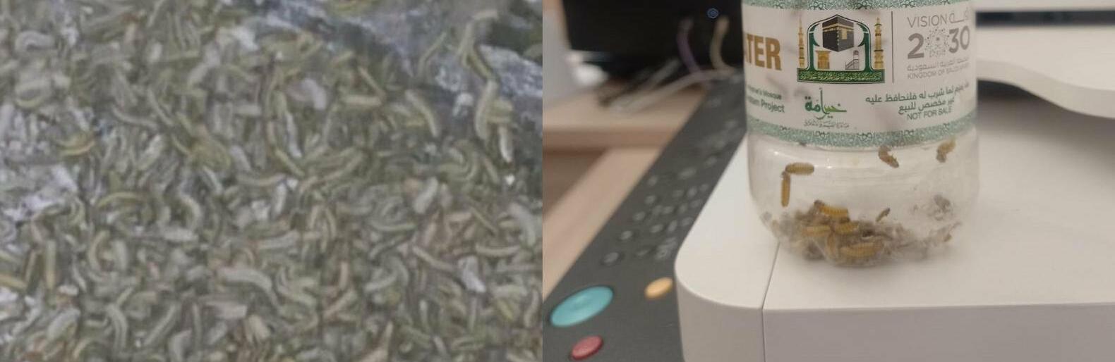  ������ ������ ������ ����� ����� ������������ ������ 