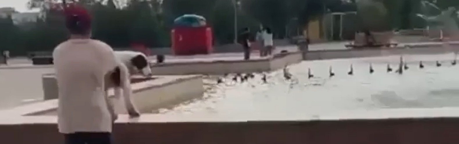  ��������� ������ ���� ������ �������� ������ ������ 
