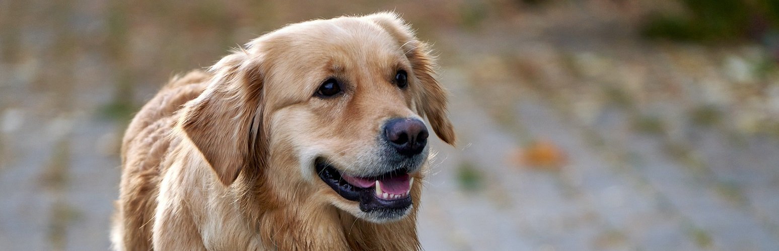 ����: inaktau.kz