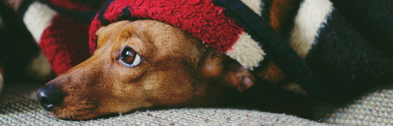 ����: inaktau.kz