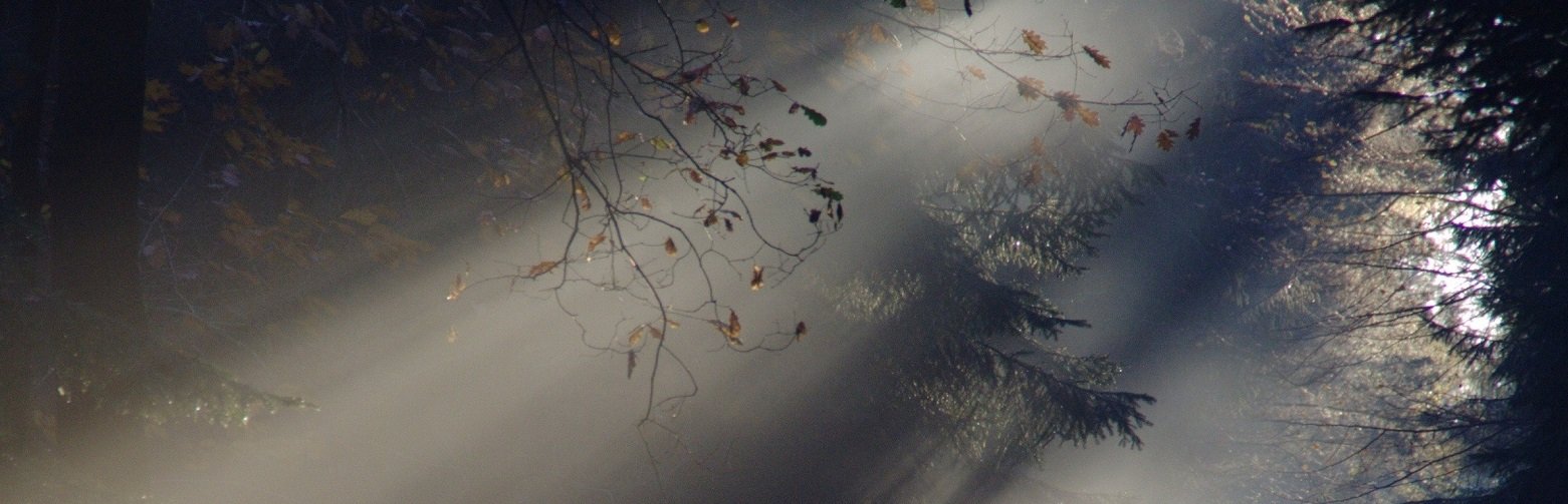 ����: inaktau.kz