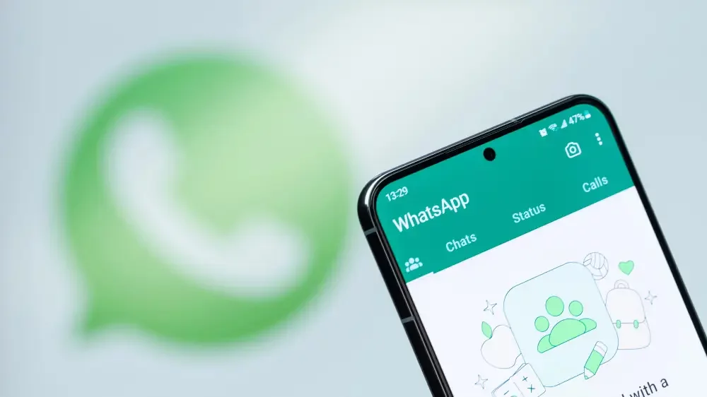  whatsapp ��������� ������ ������������� 