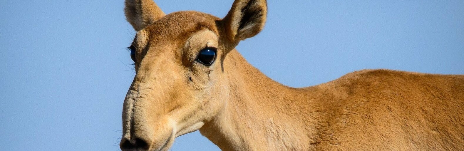 ����: inaktau.kz