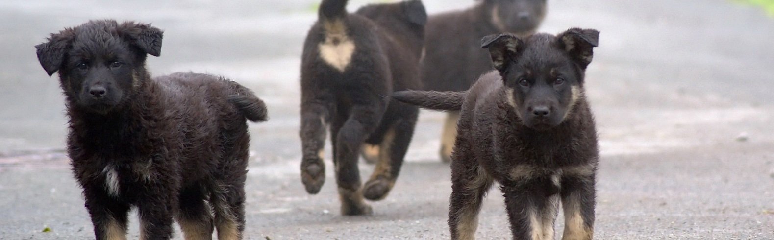 ����: inaktau.kz