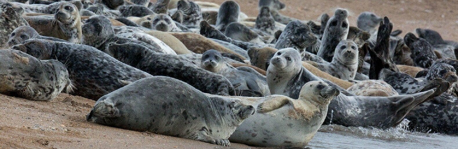 ����: inaktau.kz