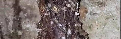  ������� ���������� ������ ������� ����� ������� ���� ��� 