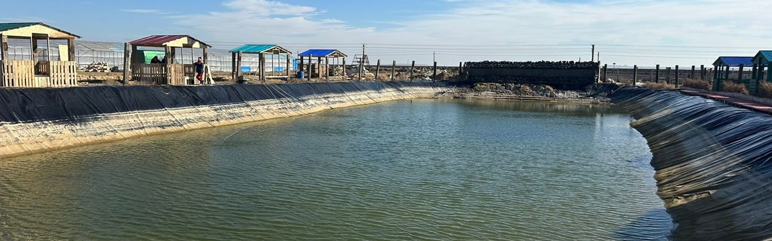  ����������� ���� ��������� ����������� ��������� 100 ���� ������ 