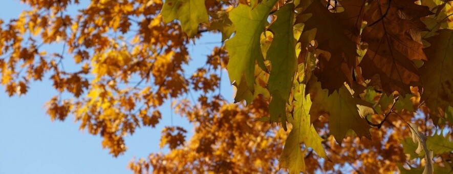 ����: inaktau.kz