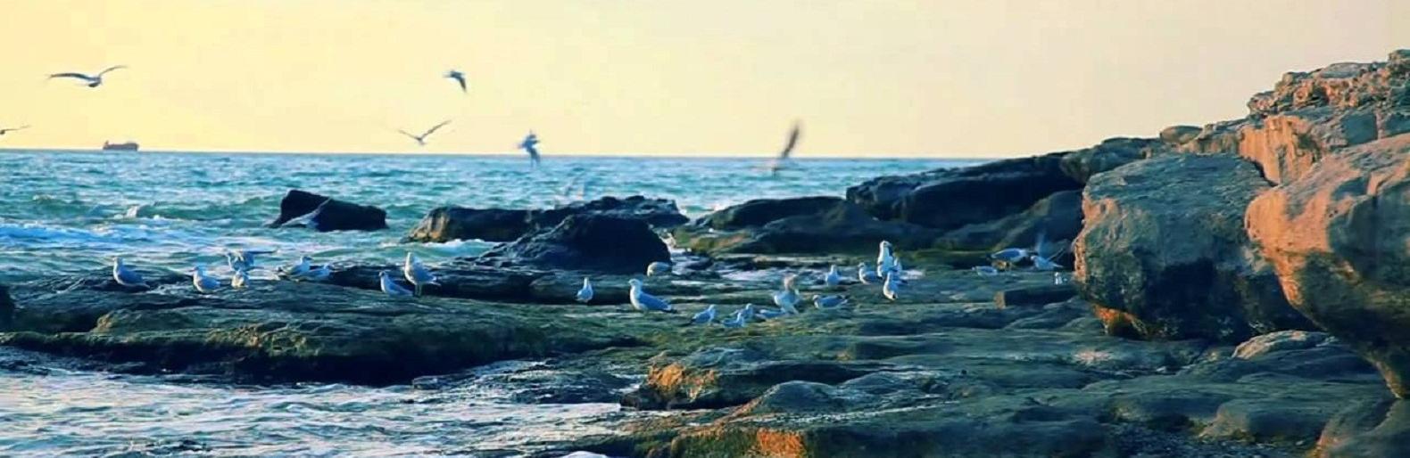 ����: inaktau.kz