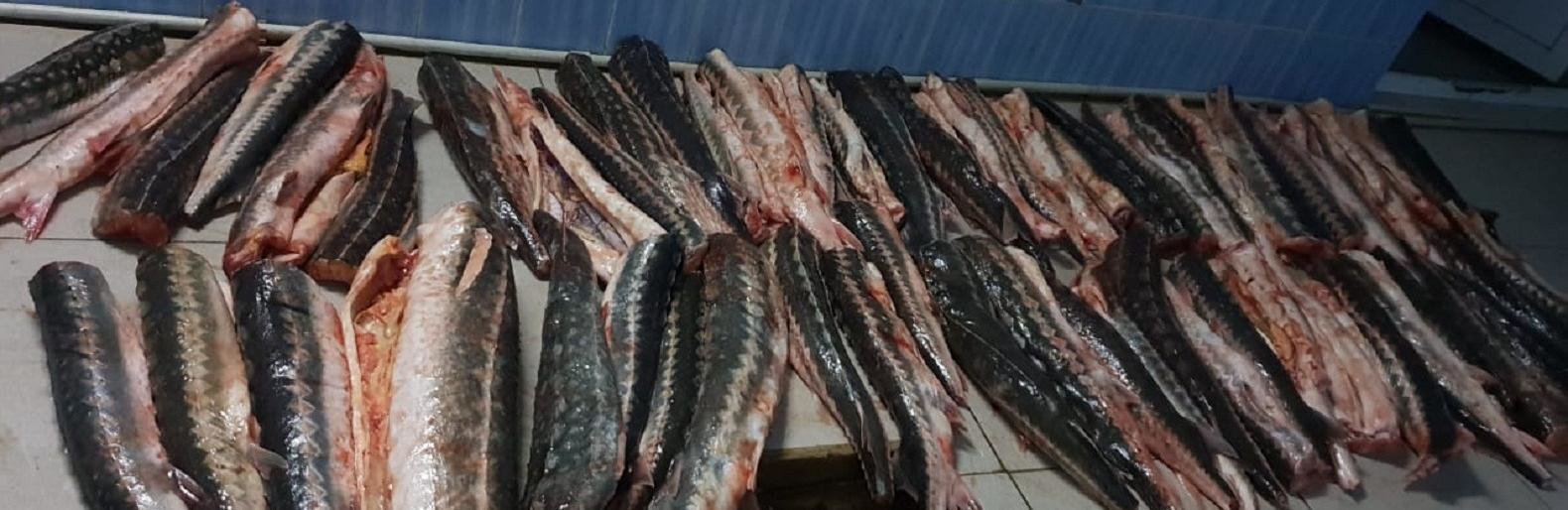 ����: inaktau.kz