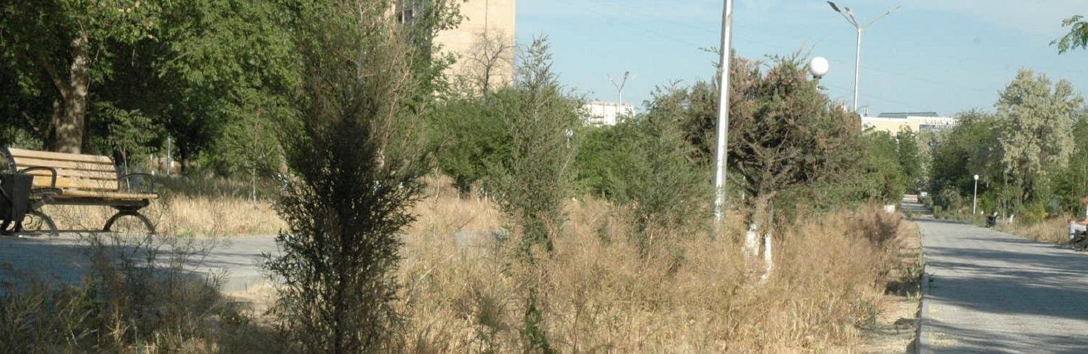 ����: inaktau.kz