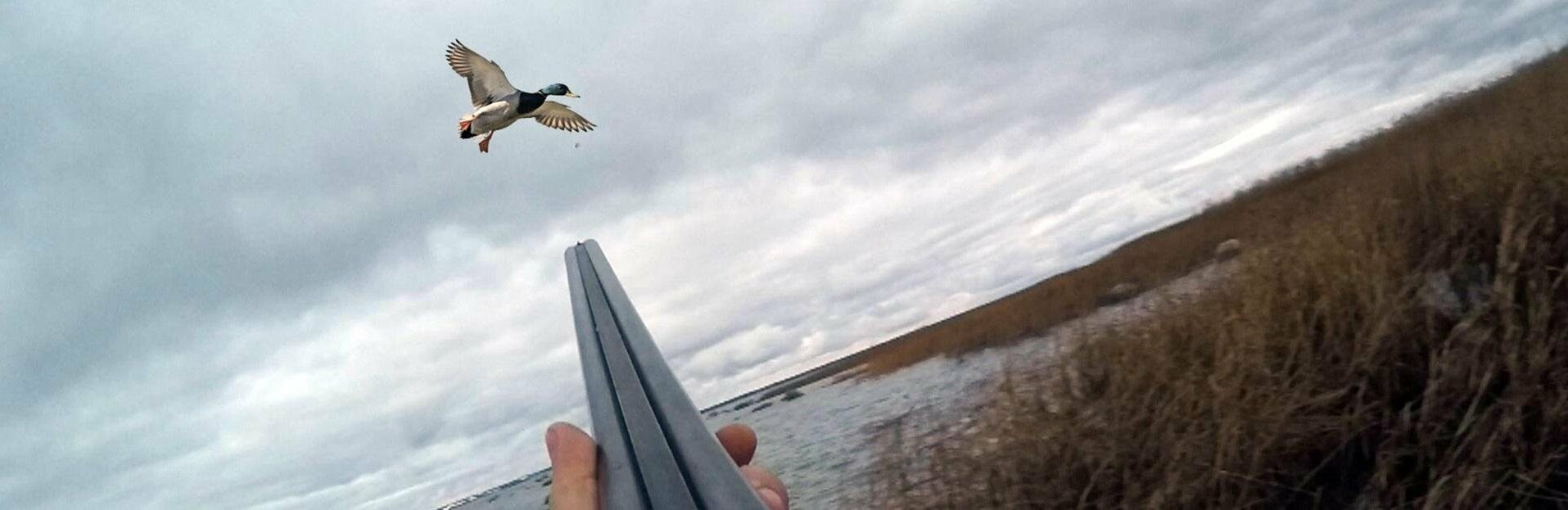 ����: inaktau.kz