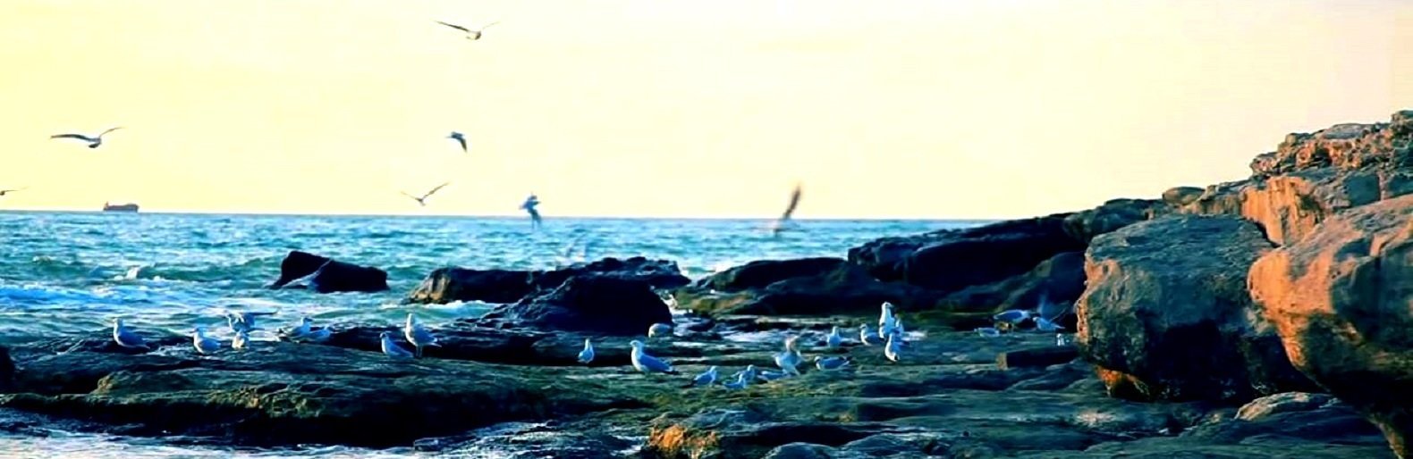 ����: inaktau.kz