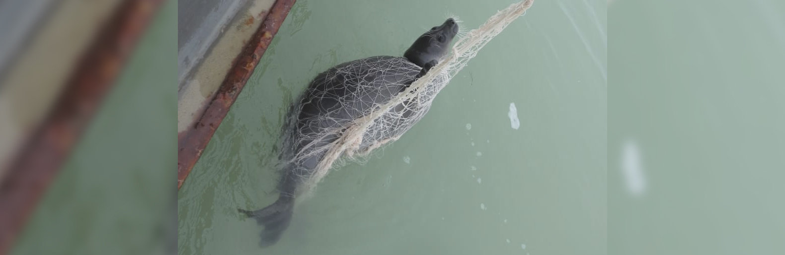 ����: inaktau.kz