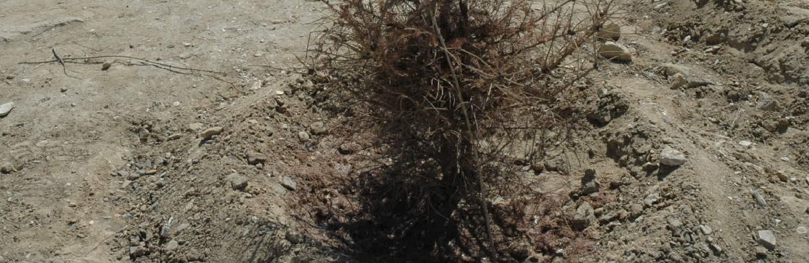  ������ ����� ����� ��� ��� ���������������� ������ �������� 