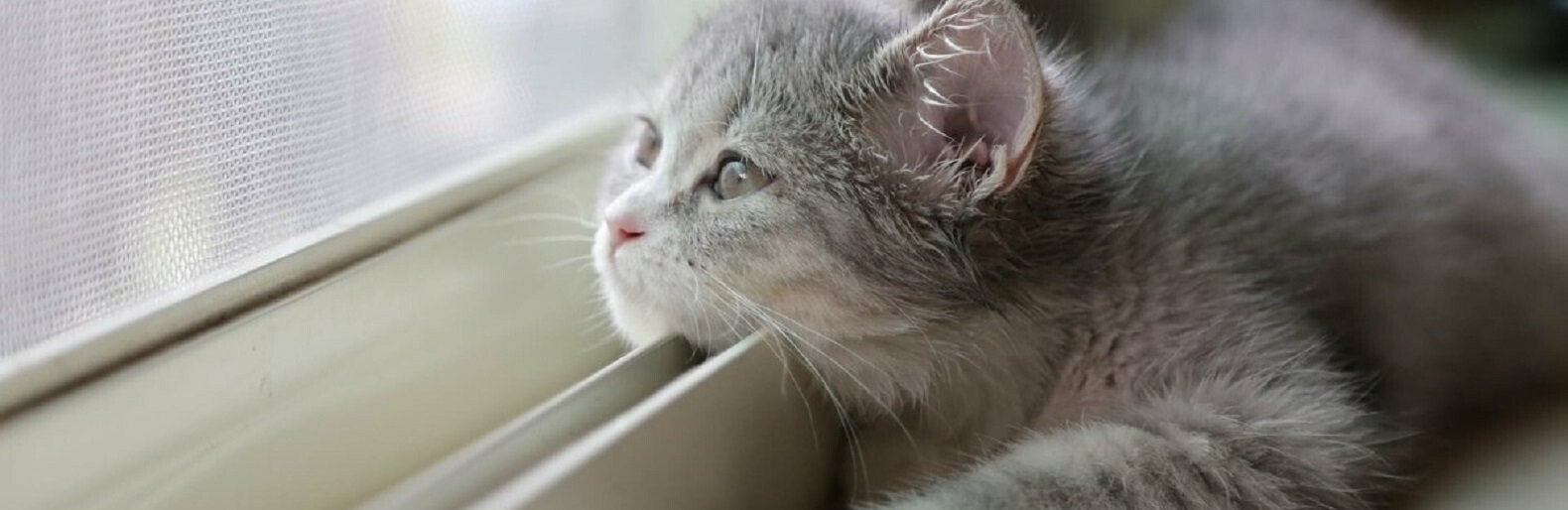 ����: inaktau.kz