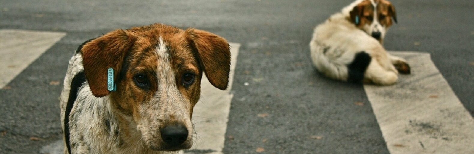 ����: inaktau.kz