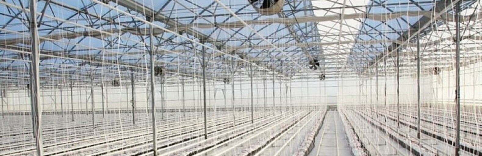 � ����� ���������� ����������� �������