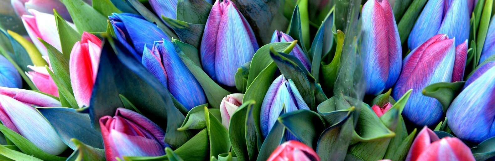 ����: inaktau.kz