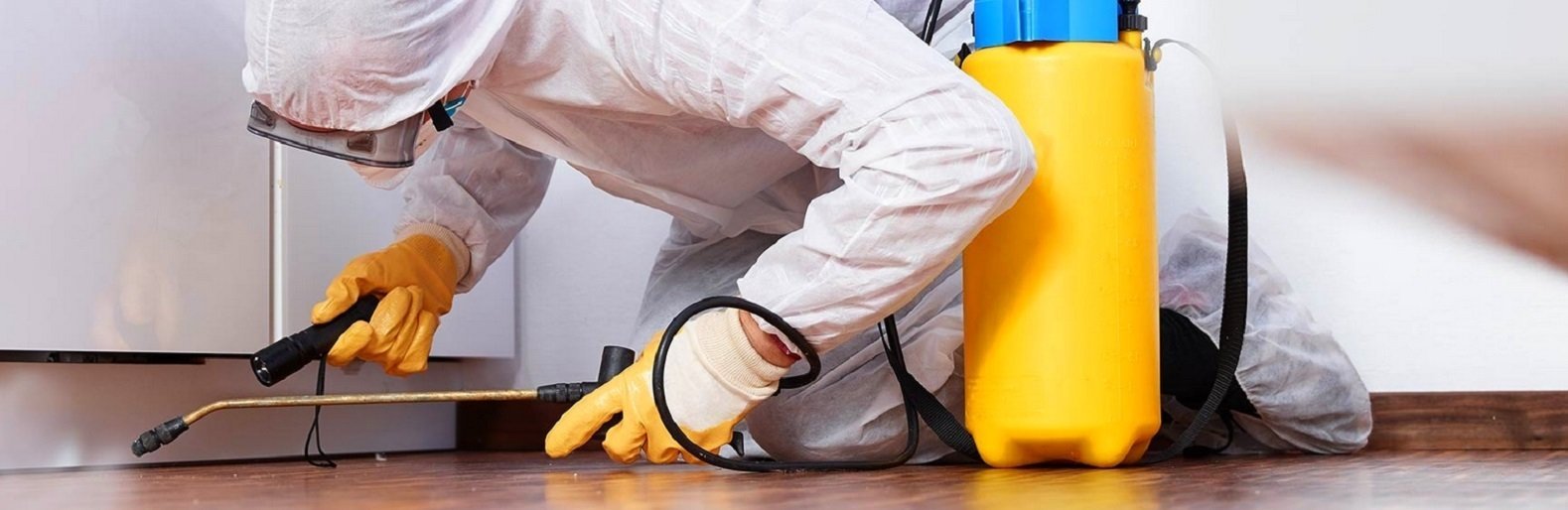 ����: inaktau.kz