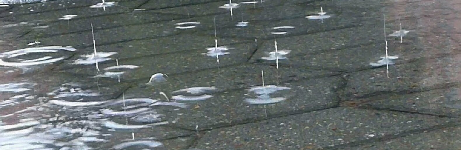 ����: inaktau.kz