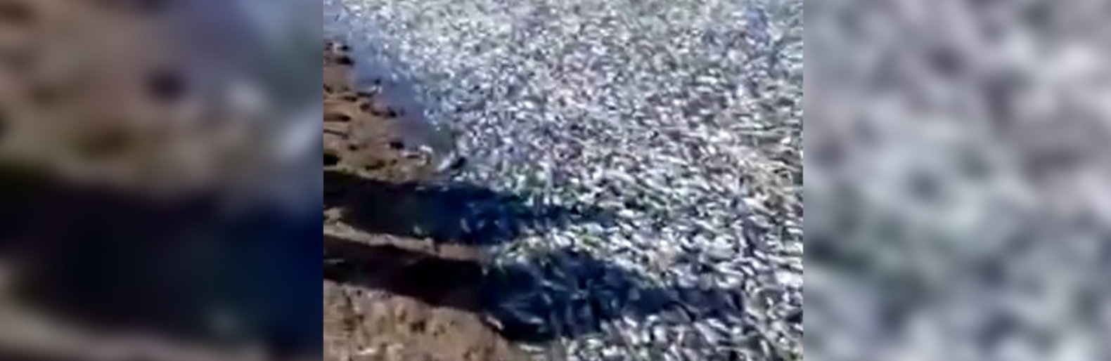  ������� ������� �������� ������ ���� ��� 