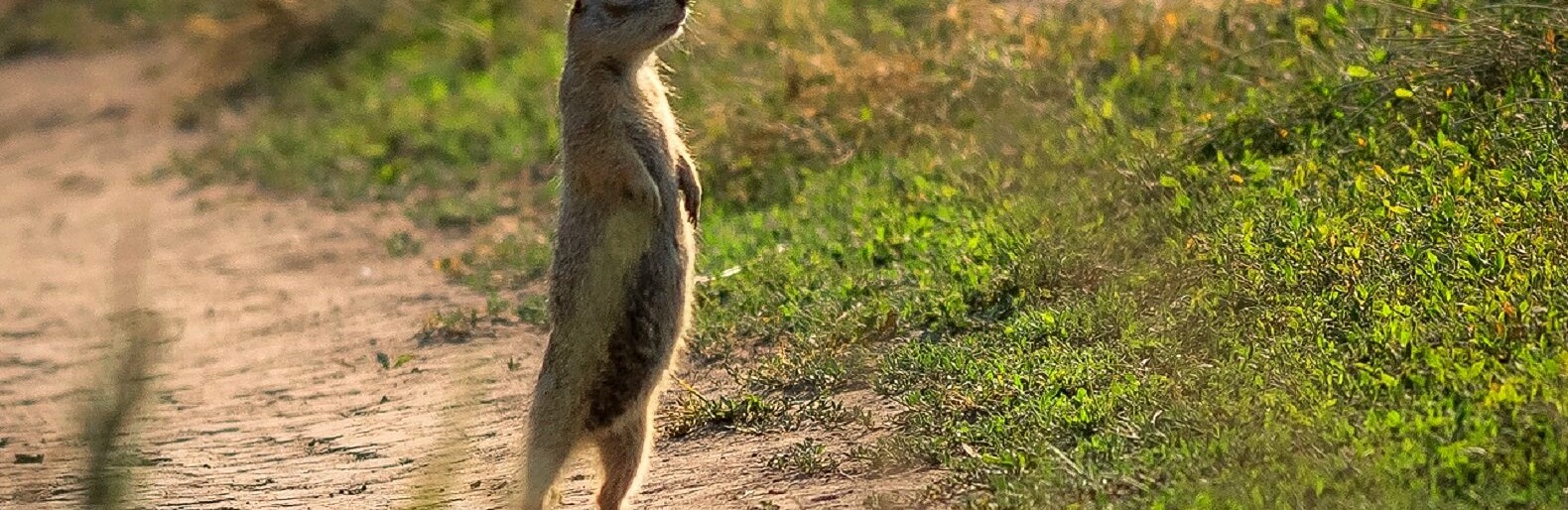 ����: inaktau.kz