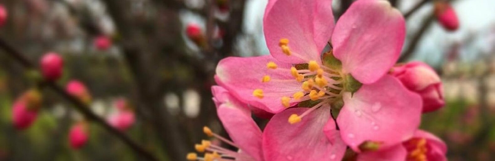 ����: inaktau.kz