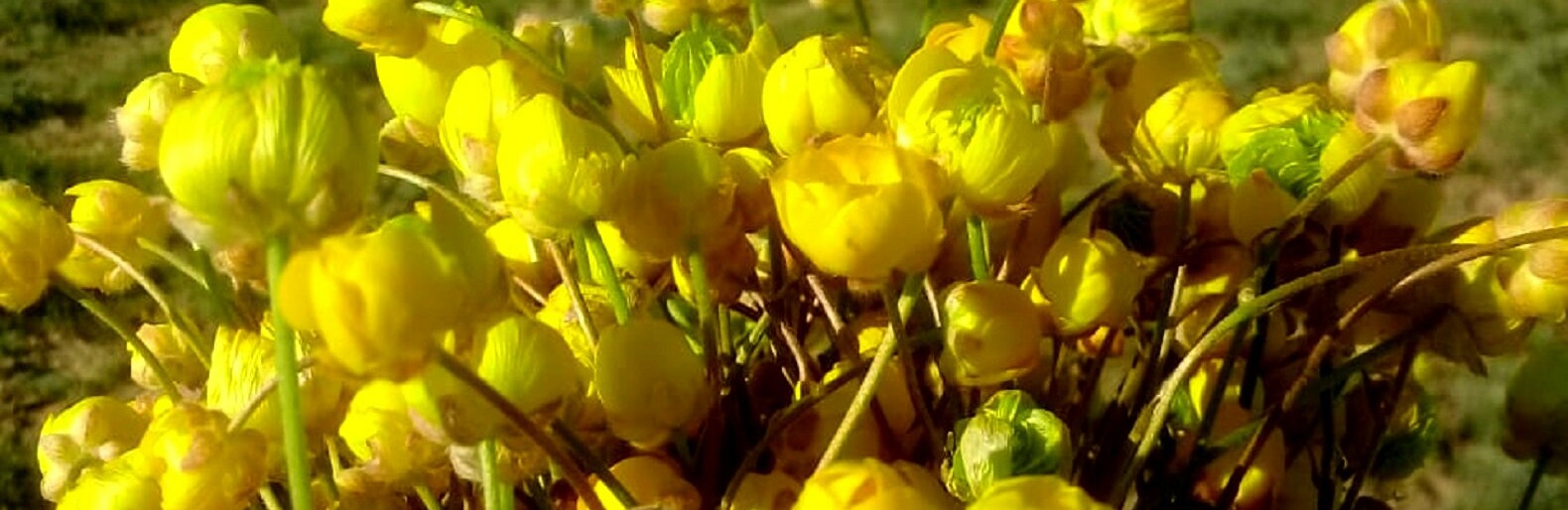 ����: inaktau.kz