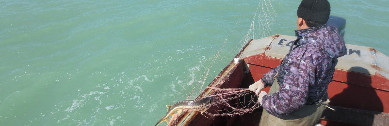 ����: inaktau.kz