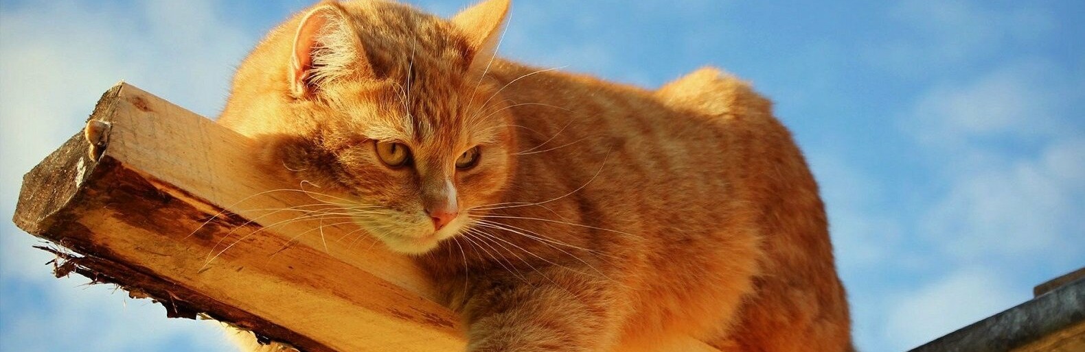 ����: inaktau.kz