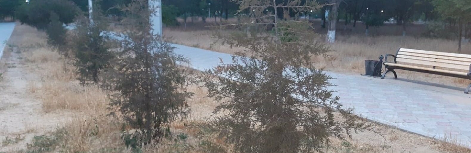 ����: inaktau.kz