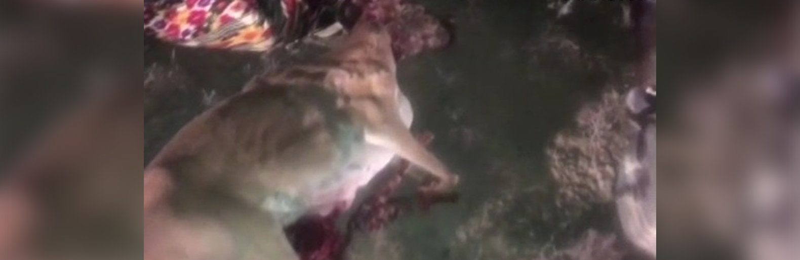 ����: inaktau.kz